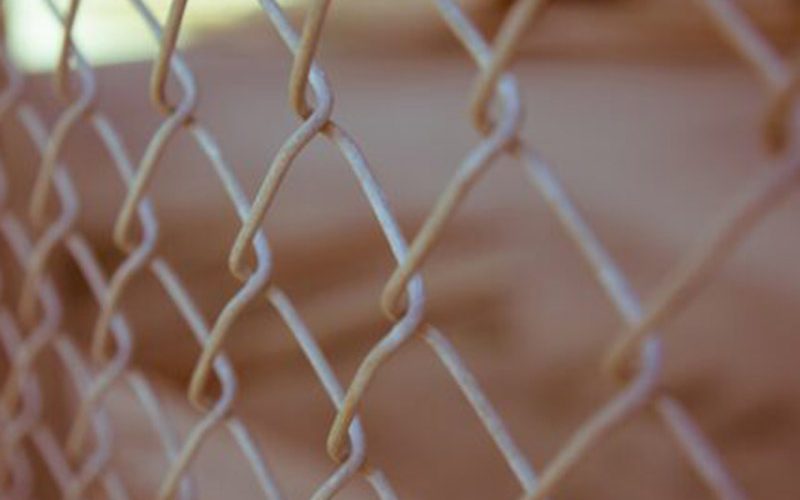 fence-cleaning-and-maintenance-1