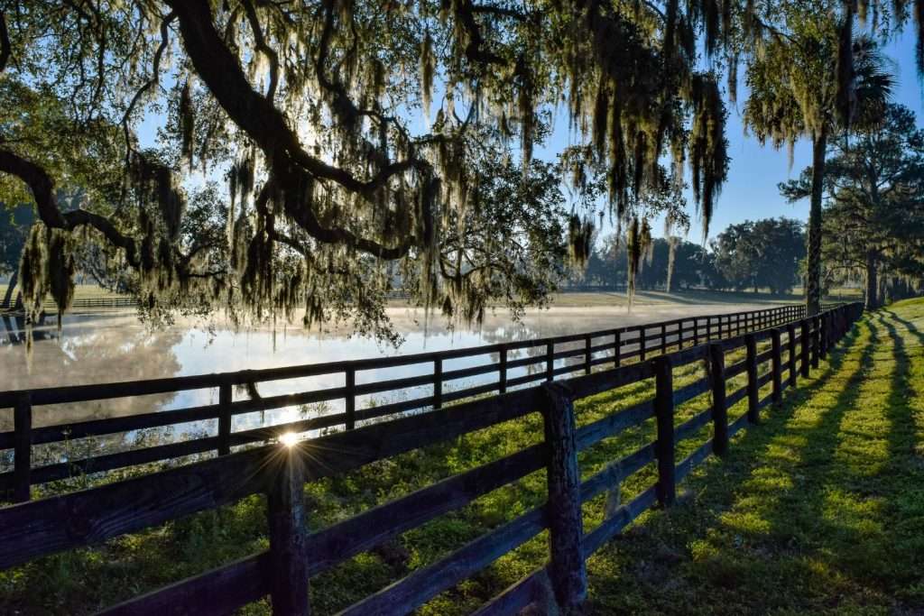 a fence in ocala florida